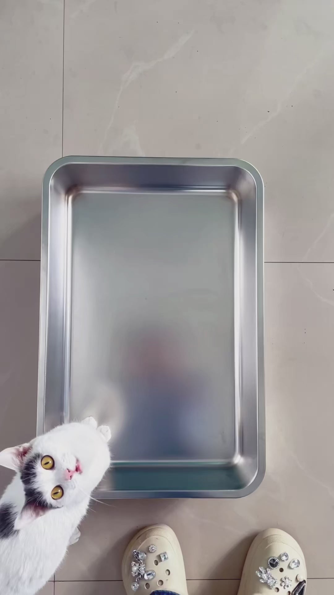 Vidéo